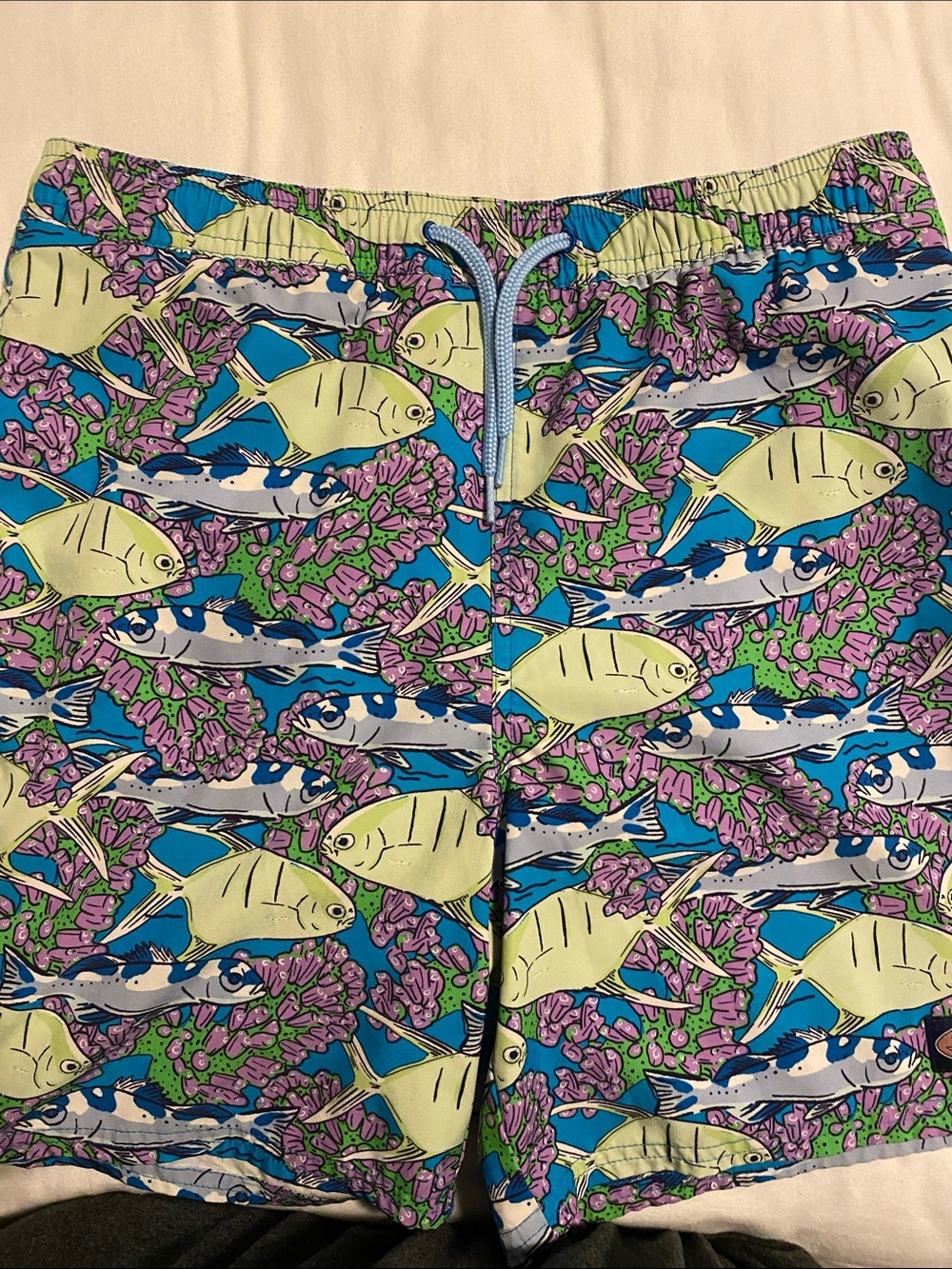 Vineyard Vines kids Fish Print Shorts in Lime, Blue & Purple
